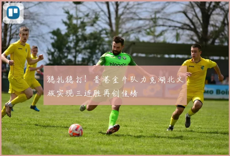 稳扎稳打！香港金牛队力克湖北文旅实现三连胜再创佳绩