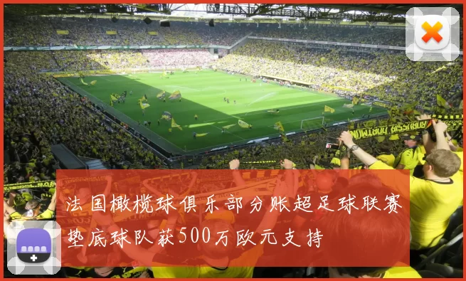 法国橄榄球俱乐部分账超足球联赛垫底球队获500万欧元支持
